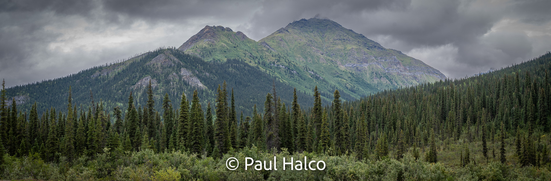 Paul Halco - Gates of the Arctic NP-22